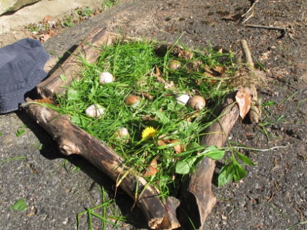 Unser Schneckengarten